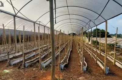 Terreno à venda, 2000 m² por R$ 400.000,00 - Parque Real - Pouso Alegre/MG