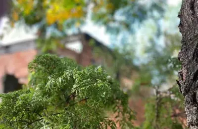 Terreno à venda em duque de caxias, gramacho, com 297 m², presidente kennedy