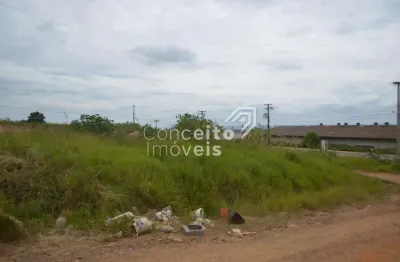 Terreno comercial para alugar na Rua Professor Fábio Fanucchi, s/n, Boa Vista, Ponta Grossa