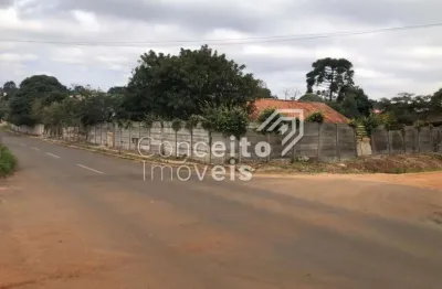 Terreno comercial para alugar na Rua Ferreira Viana, 575, Uvaranas, Ponta Grossa