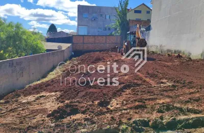 Terreno à venda na Rua Pedro Lopes de Lara, Neves, Ponta Grossa