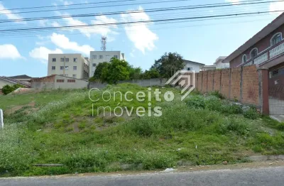 Terreno à venda na Rua Dario Veloso, 679, Uvaranas, Ponta Grossa