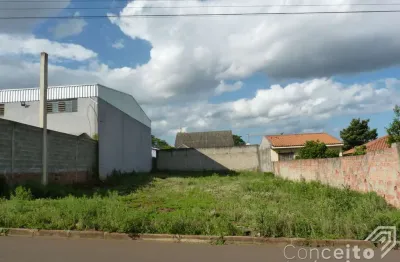 Terreno à venda na Rua Carlos de Carvalho, Uvaranas, Ponta Grossa
