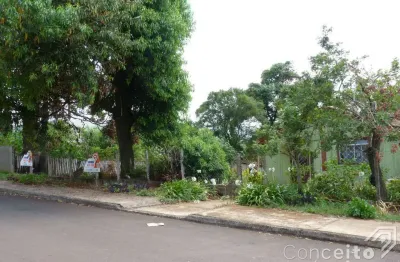 Terreno à venda na Rua Brasil, 583, Oficinas, Ponta Grossa