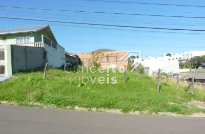 Terreno à venda na Rua Horácio Antunes Mendes, Lado 287, Orfãs, Ponta Grossa