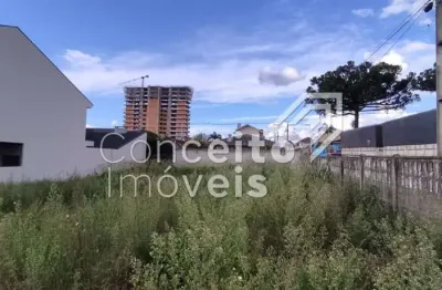 Terreno à venda na Rua Padre João Antônio, 1, Orfãs, Ponta Grossa