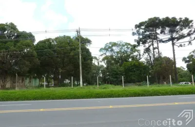 Terreno à venda na Avenida Souza Naves, Lado 9425, Chapada, Ponta Grossa