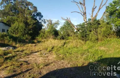 Terreno à venda na Avenida Souza Naves, lado do 38, Chapada, Ponta Grossa