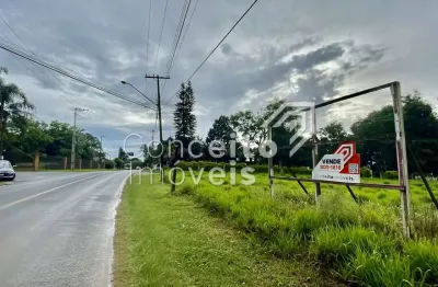 Terreno à venda na Avenida dos Pioneiros, Em frente , Centro, Carambeí