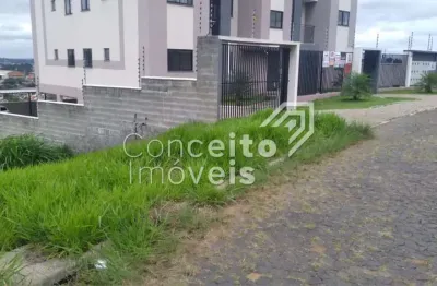 Terreno à venda na Rua Avelino Pereira de Campos, Lado 177, Chapada, Ponta Grossa