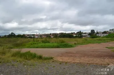 Terreno à venda na Rua Prefeito Campos Mello, s/n, Nova Rússia, Ponta Grossa