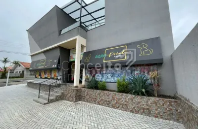 Casa com 3 quartos à venda no Nova Rússia, Ponta Grossa 