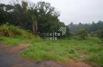 Terreno à venda na Rua C Jardim Alphaville Bairro Estrela, s/n, Estrela, Ponta Grossa