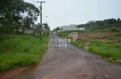 Terreno à venda na Rua Said Ajuz, s/n, Estrela, Ponta Grossa