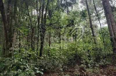 Chácara / sítio à venda no Bom Sucesso, Castro 