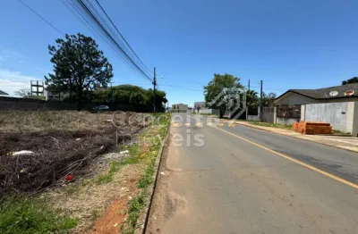 Terreno à venda na Rua Miguel Abrão Ajuz Neto, 120, Cará-cará, Ponta Grossa