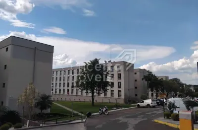 Condomínio monteiro lobato - jardim carvalho - apartamento