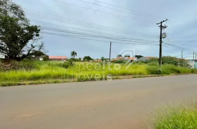 Terreno à venda na Rua Maria Luíza da Silva, 297, Cará-cará, Ponta Grossa