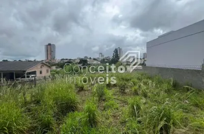 Terreno à venda na Rua Doutor Luiz Conrado Mansani, 000, Oficinas, Ponta Grossa