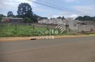 Terreno à venda na Rua Esther Johansen, Cará-cará, Ponta Grossa