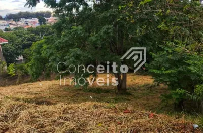 Terreno à venda no Orfãs, Ponta Grossa 