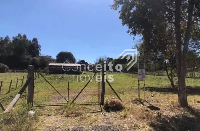 Terreno à venda no Cará-cará, Ponta Grossa 