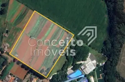 Chácara / sítio à venda no Piriquitos, Ponta Grossa 