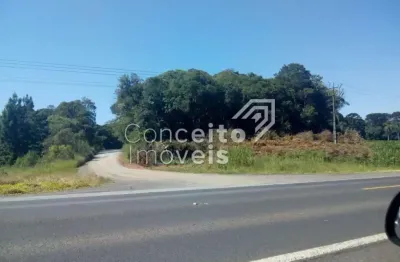 Chácara / sítio à venda no Centro, Imbituva 