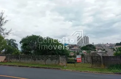 Terreno comercial para alugar no Jardim Carvalho, Ponta Grossa 