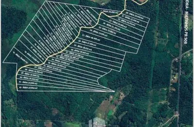 Chácara / sítio à venda na Rodovia Elísio Pereira Alves Filho, 3571, Colônia Maria Luiza, Paranaguá