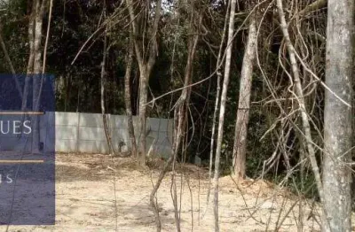 Terreno Terreno Urbano Caraguatatuba - SP - Morro do Algodão