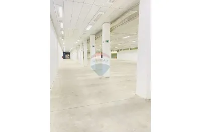 Barracão / Galpão / Depósito para alugar na Avenida Francisco Rodrigues, 479, Vila Constança, São Paulo