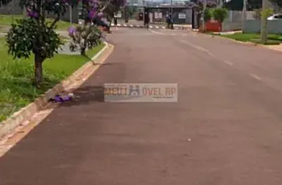 Terreno à venda no bairro loteamento santa marta - ribeirão preto/sp