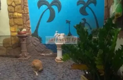 Casa com salão comercial rua principal jd presidente dutra ii