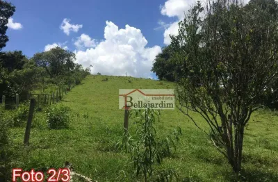 Terreno à venda, 8000 m² - bairro jardim do pinhal - pinhalzinho/sp