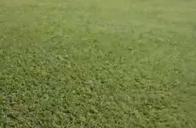 Smpw 11 -  terreno plano com 20.000m2, casa de apoio e piscina !