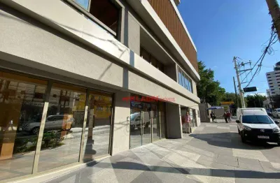 Loja com 245m² de área útil com localização espetacular na vila mariana à poucos minutos do metrô - rua extremamente movimentada - loja nunca habitada