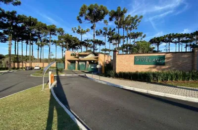 Casa 370m² 4 suítes no bairro piniville (condomínio pineland)