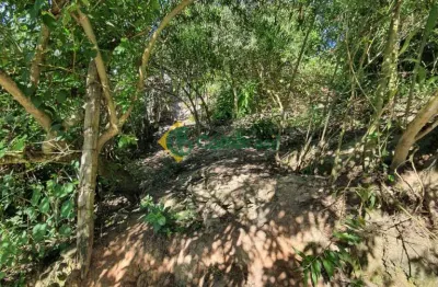 Terreno à venda na Rua Armando Constantino, 000, Vila Mathias, Mogi das Cruzes