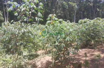 Terreno à venda na Rua Domingos Pazini, 01, Estância Angelina, Suzano
