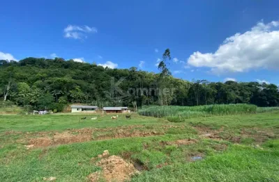 Chácara / sítio com 3 quartos à venda na Estrada Geral Do Ribeirão Máximo, Alto Máximo, Luiz Alves