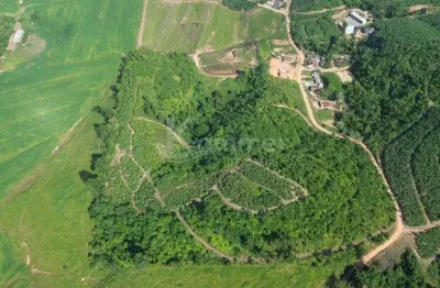 Terreno rural a venda em luiz alves com 129.675m2, quase 13 hectares de área total, praticamente 100% aproveitável para plantio.