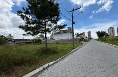 Terreno à venda na Rua Mato Grosso, Itacolomi, Balneário Piçarras