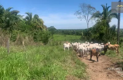 Fazenda com 2 salas à venda na Fazenda 359 Hectares - Com Ate 5 Anos Para Pagar, Zona Rural, Chapada dos Guimarães