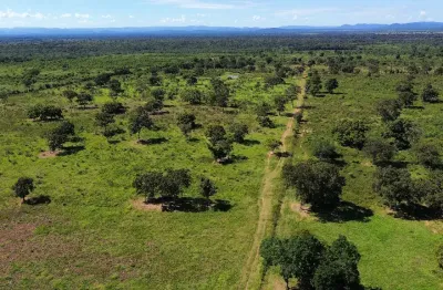 Fazenda 845 hectares | dupla aptidão - 26km de cuiabá mt*