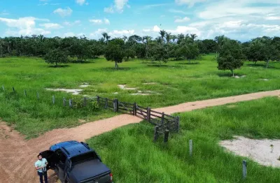 Fazenda com 1 sala à venda na Fazenda 185 Hectares - 45km De Cuiabá Mt, Zona Rural, Santo Antônio do Leverger