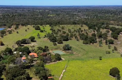 Sítio de 20 hectares - 100% plano e terra de cultura, 60km do trevo do lagarto