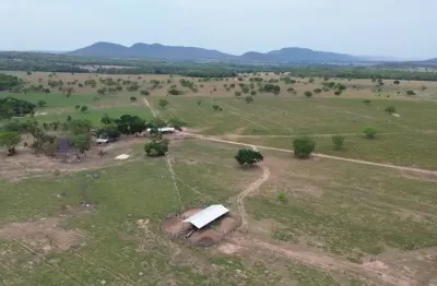 Fazenda com 1 sala à venda na Fazenda De Porteira Fechada - 174 Hectares Sentido Rondonopolis, Zona Rural, Santo Antônio do Leverger