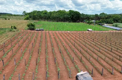 Chácara / sítio com 3 quartos à venda na Sítio 38 Hectares - Produzindo A 20 Anos, Coqueiral, Nobres