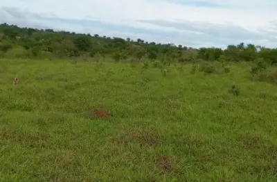 Fazenda com 2 salas à venda na Fazenda De 1.411 Hectares - 900ha Aberto | Dupla Aptidão, Zona Rural, Poxoréu